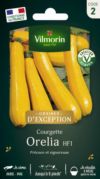 Potagères - Courgette Orélia HF1 - Graines d'Exception - PACKAGING_RECTO